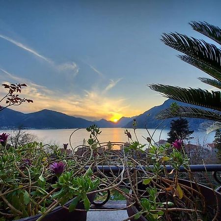 Apartment Terazza Di Ljuta Kotor Extérieur photo