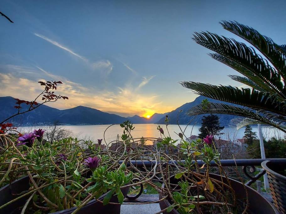 Apartment Terazza Di Ljuta Kotor Extérieur photo