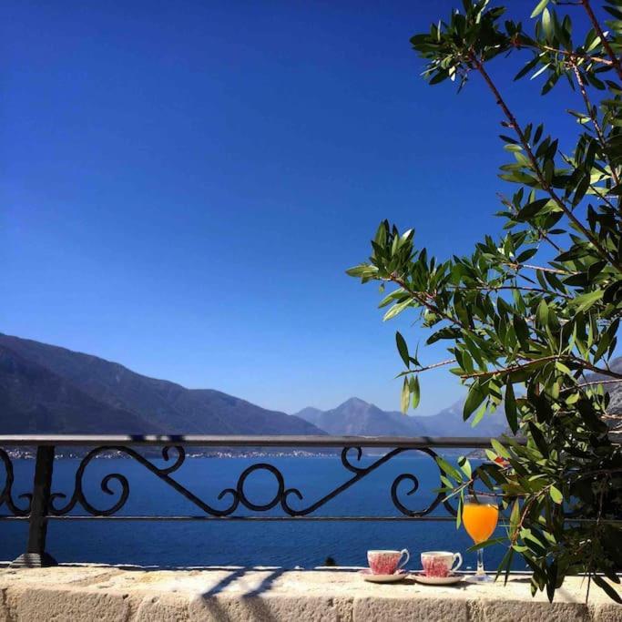 Apartment Terazza Di Ljuta Kotor Extérieur photo