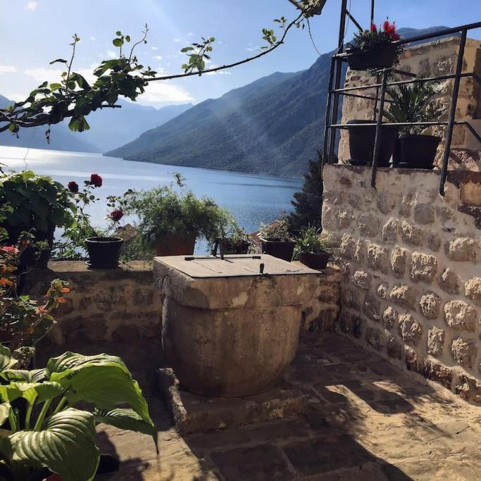 Apartment Terazza Di Ljuta Kotor Extérieur photo