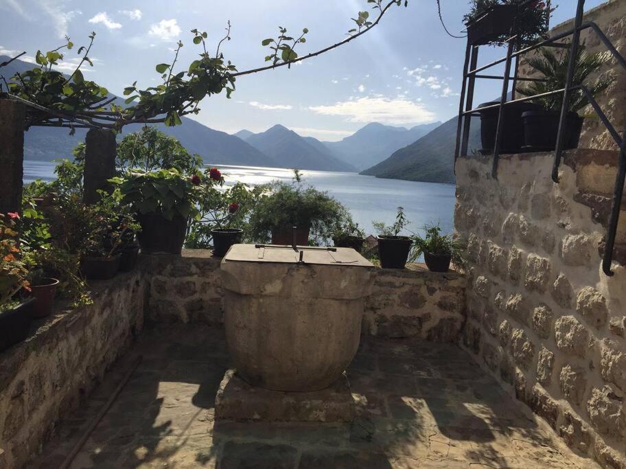 Apartment Terazza Di Ljuta Kotor Extérieur photo